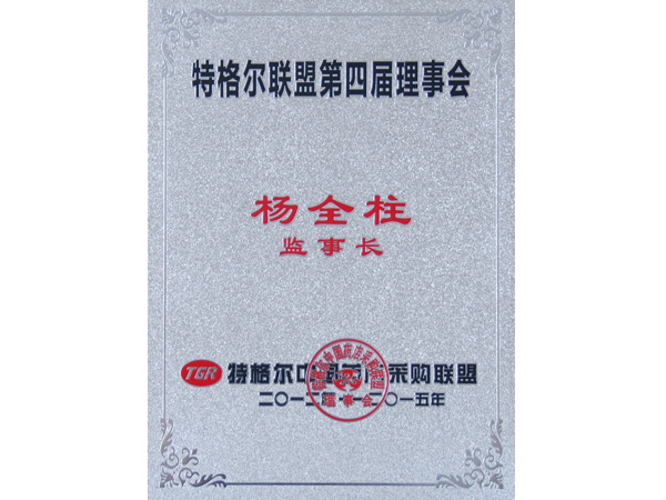 特格尔联盟第四届理事会，杨董事长担任监事长